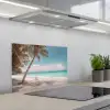 Palmboom - Schommel - Strand - Lucht keuken achterwand spatscherm klein -3d_schuin