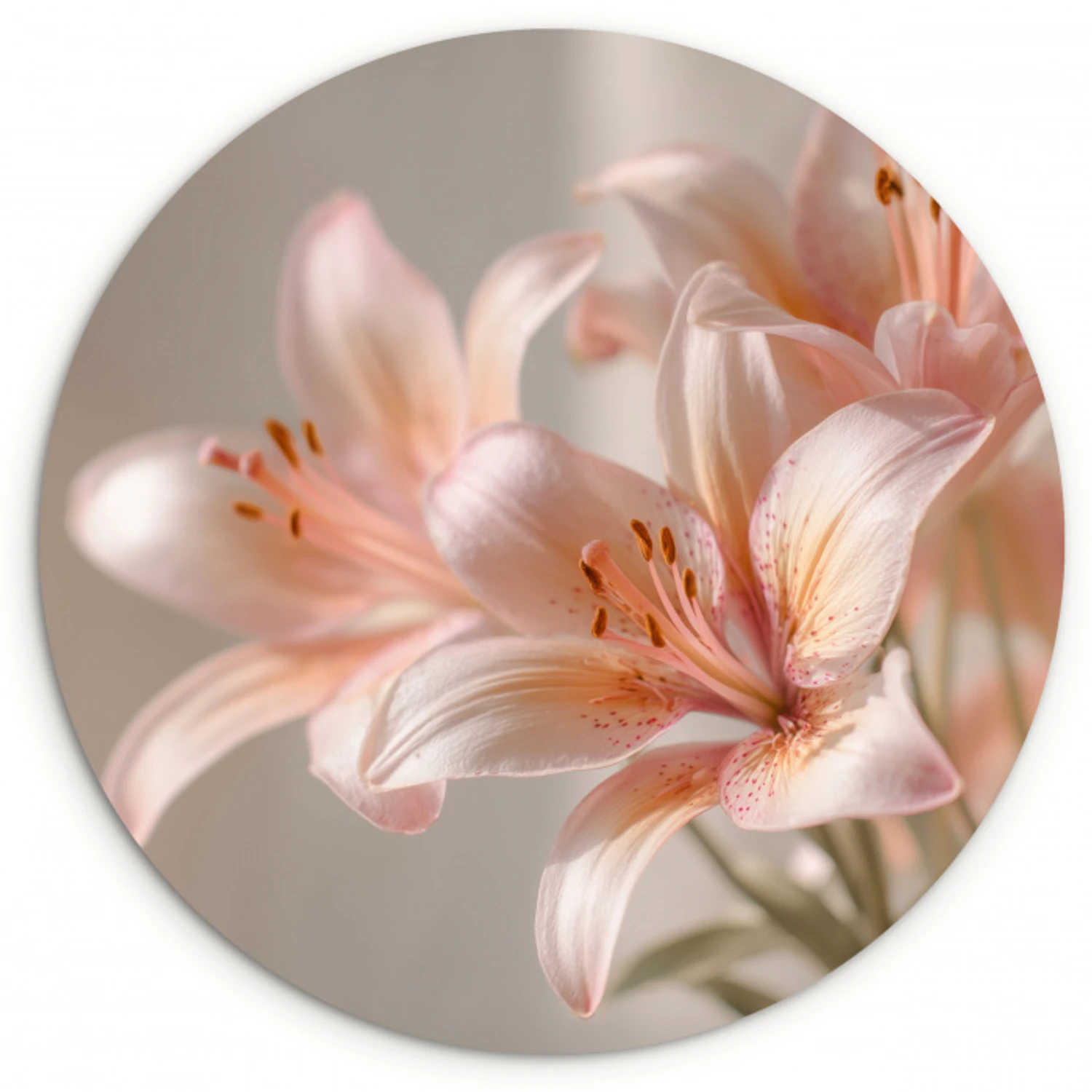 Lelies - Meeldraden - Roze - Wazig Wandcirkel kunststof plaat 5mm dik klein -3d