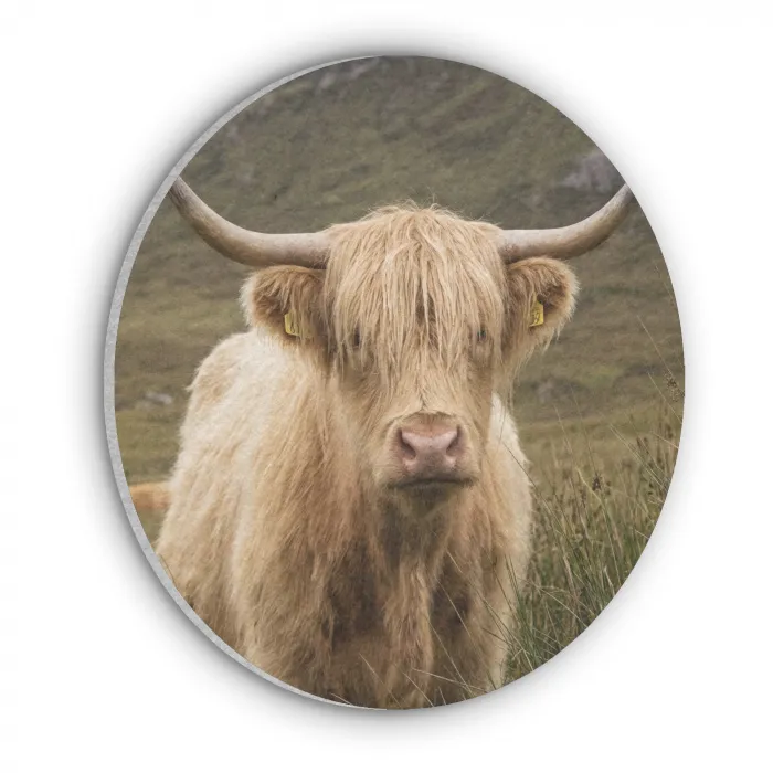 Schotse hooglander - Bergen - Grasveld Akoestische PET Vilt - Rond klein -3d