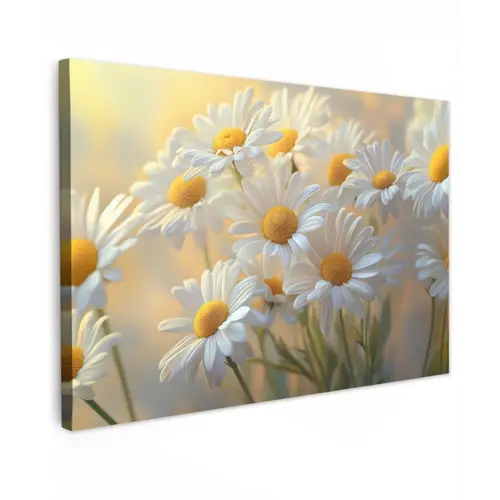 Madeliefjes - Wit - Zonlicht canvas 2cm klein -z3d