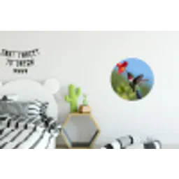 Kolibrie - Bloem - Natuur - Groen Wandcirkel aluminium klein -kinderkamer