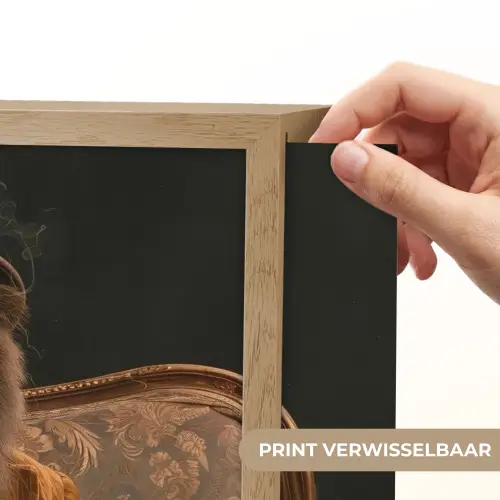 Bril - Leeuw - Bank - Hoed Light Box met batterij (Wandlamp) middel -USP_websiteprintNL