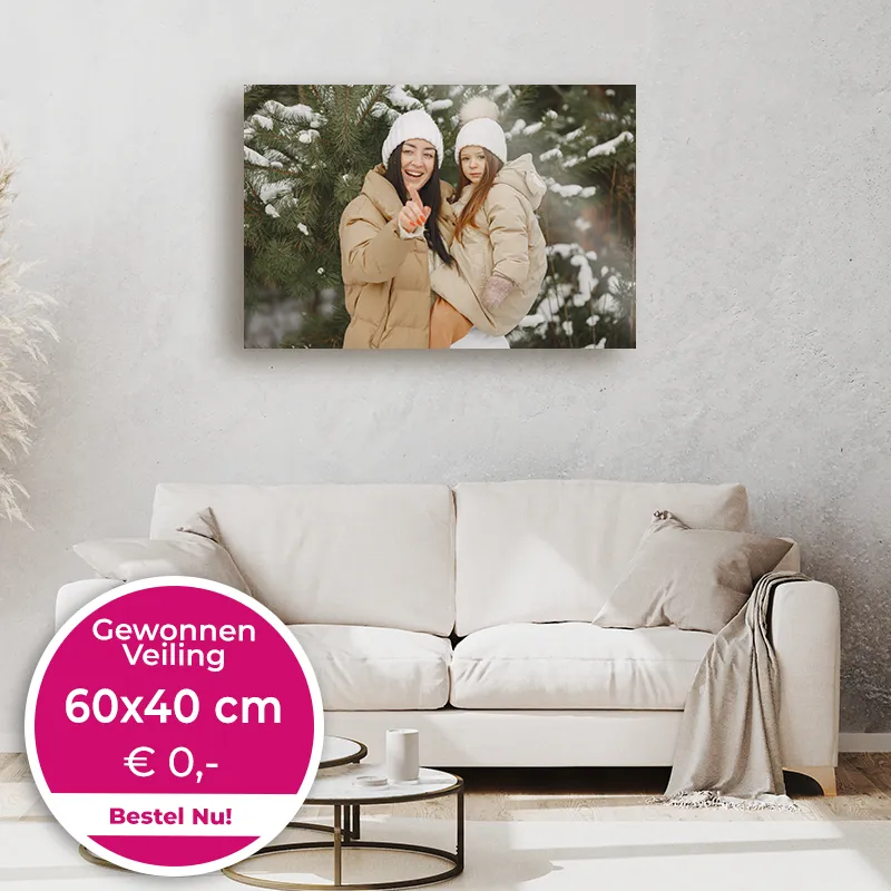 Winnaars aluminium 60x40cm