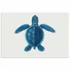 Schildpad - Blauw - Schild poster papier klein -3d