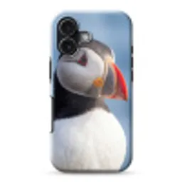 Papegaaiduiker - Portret - Natuur Toughcase MagSafe Apple iPhone 17 klein -3d