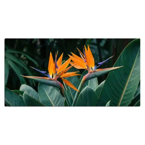 Paradijsvogel - Bloem - Exotisch Muismat XXL klein -3d_leeg