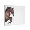 Paard - Springen - Modern PET vilt klein -3d