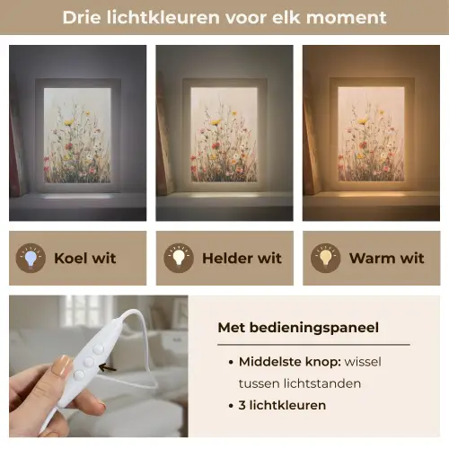 Wilde bloemen - Penseelstreken - Rustgevend Light Box met kabel (Tafellamp) klein -USP_lichtkleurNL