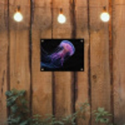 Kwal - Doorzichtig - Roze - Tentakels tuinposter los doek klein -sfeer1