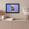 Papegaai - Koksmuts - Vogel - Leuk fotolijst zwart zonder passe partout klein -sfeer5