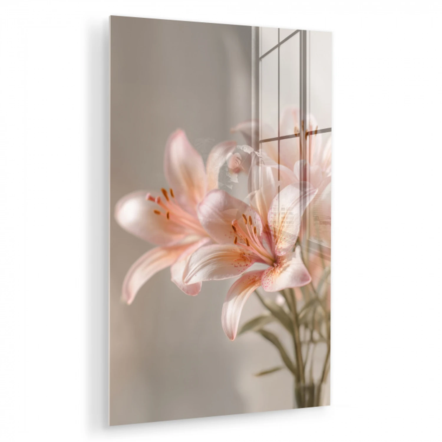 Lelies - Meeldraden - Roze - Wazig plexiglas 5mm klein -zzzproduct_nieuw