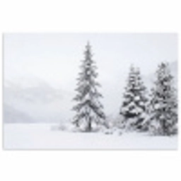 Fijnsparren - Sneeuw - Winter - Landschap - Stilte poster papier klein -3d