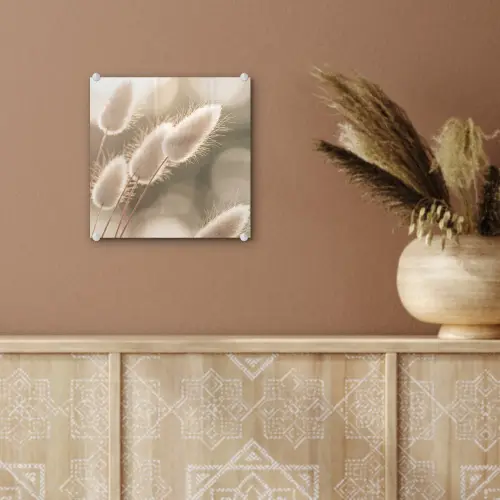 Hazestaartgras - Wit - Zonlicht plexiglas 5mm klein -sfeer5