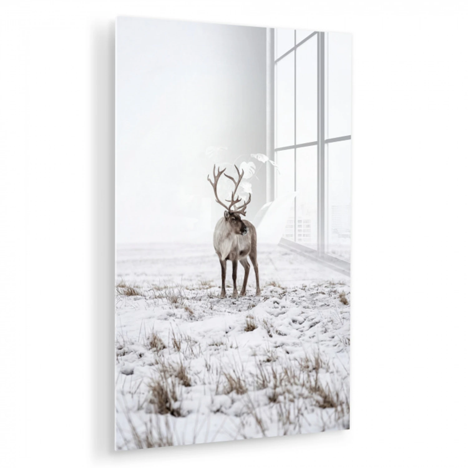 Rendier - Gewei - Sneeuw - Winter plexiglas 5mm klein -zzzproduct_nieuw