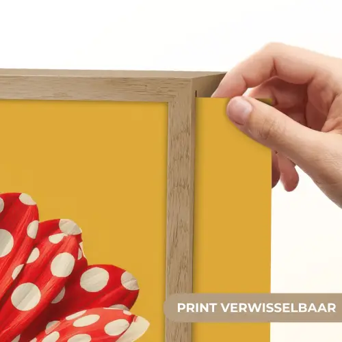 Bloem - Rood - Stippen Light Box met batterij (Wandlamp) middel -USP_websiteprintNL