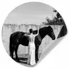 Vrouw - Paard - Artistiek Wandcirkel behangsticker klein -3d