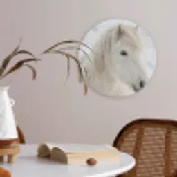 Paard - Kop - Winter - Dieren - Wit Akoestische PET Vilt - Rond klein -sfeer3