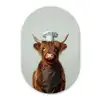 Schotse Hooglander - Bruin - Hoorns - Kokskleding Wandcirkel Ovaal Forex klein -3d