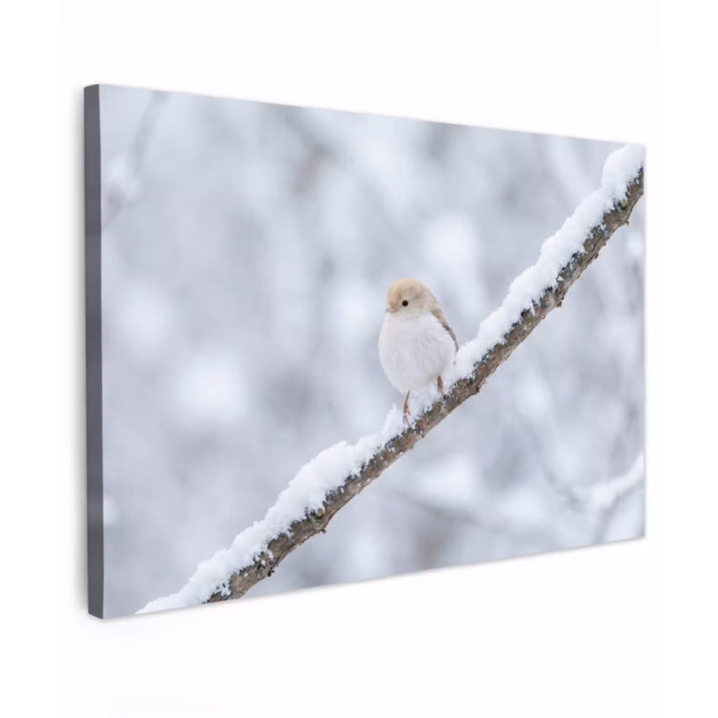 Vogeltje - Sneeuw - Tak - Winter - Zacht canvas 2cm klein -z3d