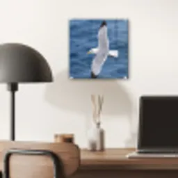 Zeemeeuw - Oceaan - Blauw plexiglas 5mm klein -sfeer6