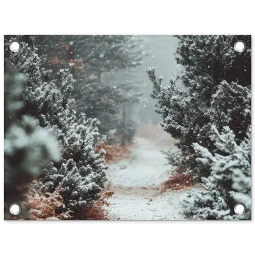 Bos - Winter - Bomen - Natuur - Pad - Sneeuw tuinposter los doek klein -3d
