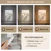 Droogbloemen - Beige - Wit - Planten Light Box met kabel (Tafellamp) klein -USP_lichtkleurNL