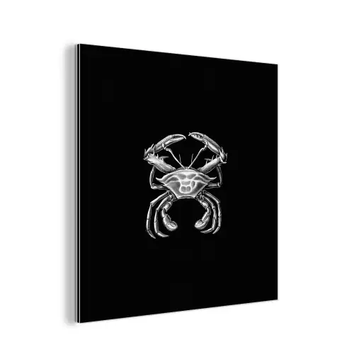 Ernst Haeckel - Tuinposter zwart wit - Tuin - Oude meesters - Vintage aluminium wit klein -3d