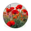 Klaproos - Bloemen - Rood - Paars - Weide Wandcirkel aluminium klein -3d