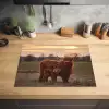 Schotse hooglander - Dieren - Landschap - Zonsondergang - Koe Inductie beschermer vinyl 3mm klein -sfeer5