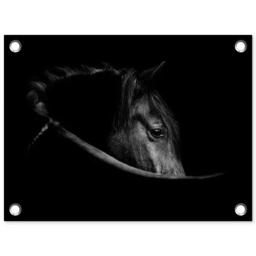 Paarden - Portret - Zwart - Dieren tuinposter los doek klein -3d