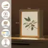 Tak - Groene Bladeren - Vruchten Light Box met kabel (Tafellamp) klein -USP_websiteoverzichtNL