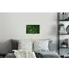 Groen - Bladeren - Kartel - Zonlicht Muursticker klein -slaapkamer