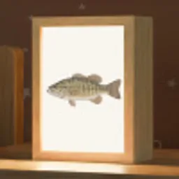 Vissen - Natuur - Vintage Light Box met kabel (Kinderlampje) klein -zzz_3d_website