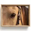 Paard - Oog - Bruin Dienblad Rechthoek middel -z3d_shopping