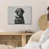 Hond - Zwart - Wijnglas - Zonnebril PET vilt klein -sfeer3
