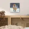 Tijger - Landschap - Sneeuw - Winter - Dieren plexiglas 5mm klein -sfeer4