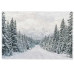 Weg - Sneeuw - Naaldbos - Winter - Avontuurlijk Deurmat klein -zkaufland3d