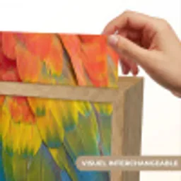 Veren - Ara - Kleurrijk Light Box met kabel (Kinderlampje) klein -USP_websiteprintFR