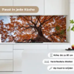 Boom - Bladerdak - Herfst - Oranje - Sfeervol keuken achterwand 2 middel -sfeer4_DE