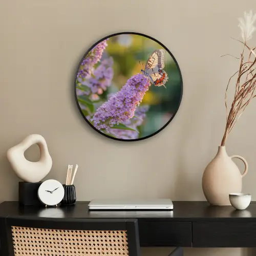 Sierlijke - Vlinder - Paarse - Bloemen Fotolijst rond zonder passe partout klein -sfeer1