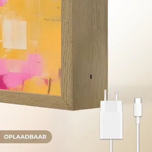 Vogel - Vrouw - Abstract - Bloem Light Box met batterij (Wandlamp) middel -USP_websiteoplaadbaarNL