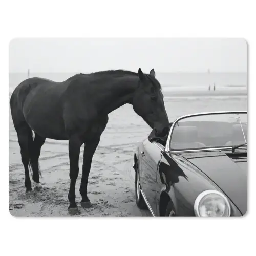 Paard - Auto - Zwart - Wit muismat rubber klein -3d