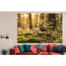 Houtsnip - Bos - Bladeren - Herfst - Gecamoufleerd forex 5mm xxl -woonkamer