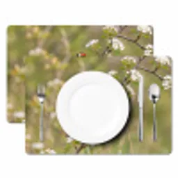 Putter - Bloesem - Lente - Natuur - Kleurrijk Placemat vinyl groot -zzsfeer2_Kitchenyeah-website