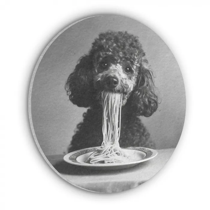 Poedel - Hond - Zwart - Wit - Schattig - Pasta Akoestische PET Vilt - Rond klein -3d