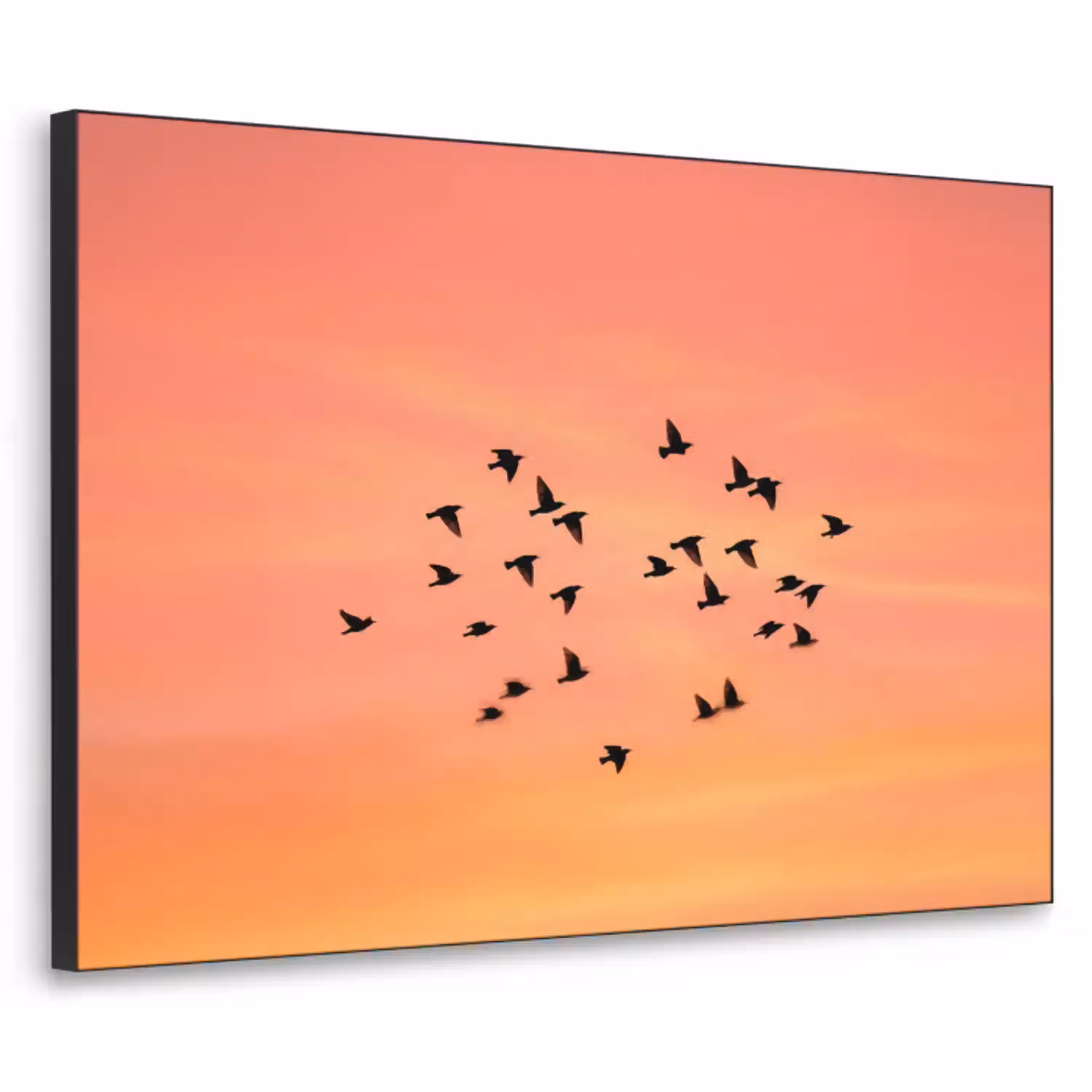 Zwerm - Vogels - Oranje Textielframe zwart klein -3d