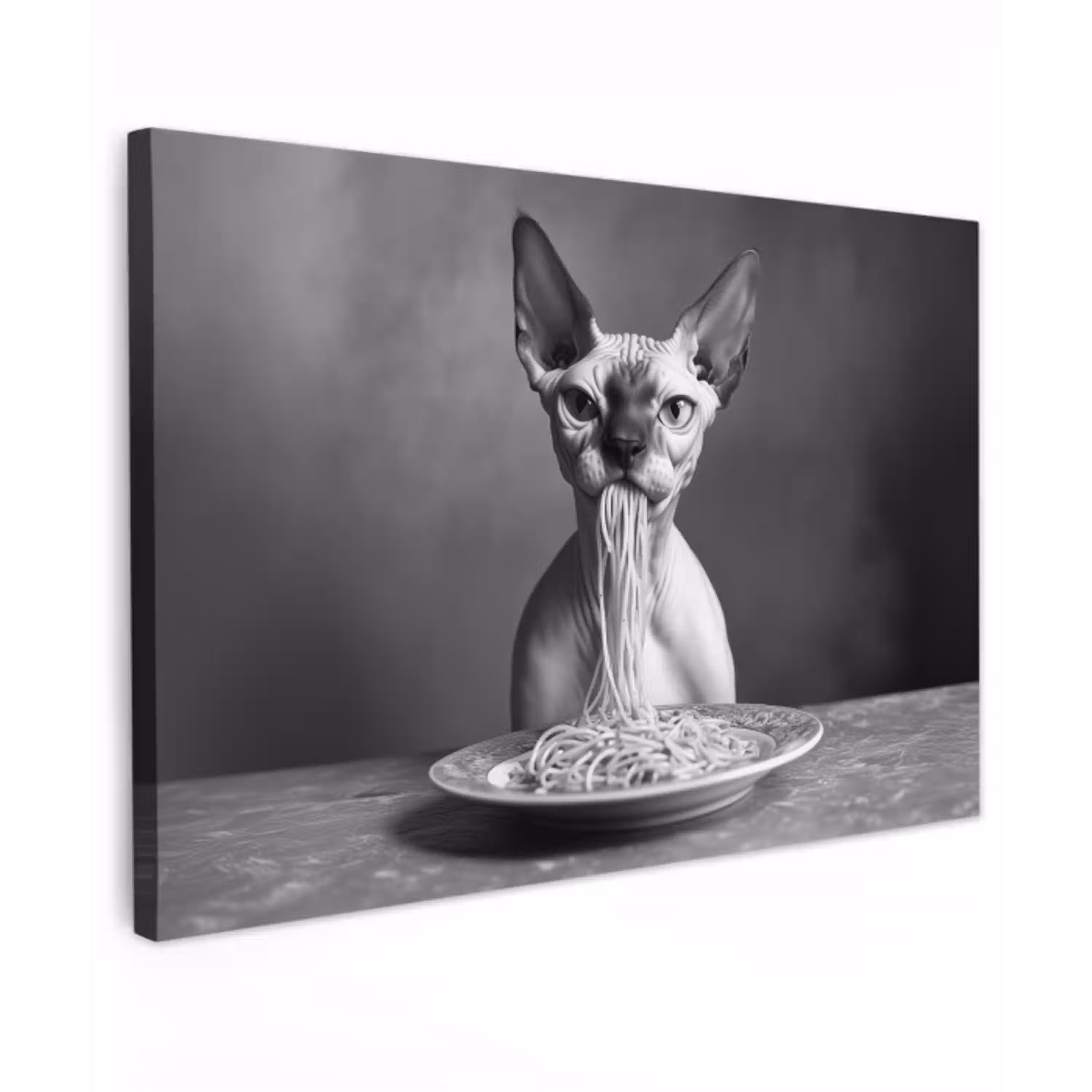 Sphynx - Kat - Dieren - Humor - Spaghetti - Zwart Wit canvas 2cm klein -z3d