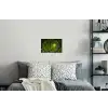 Jungle - Groen - Natuur - Tropisch - Planten Muursticker klein -slaapkamer