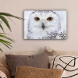 Sneeuwuil - Oog - Wildlife - Wit canvas 2cm klein -sfeer1