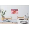 Grapefruit - Roze - Disco - Shiny Muursticker klein -eettafel